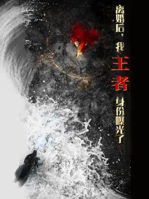 离婚后,我王者身份曝光了(离婚后我王者身份曝光了)